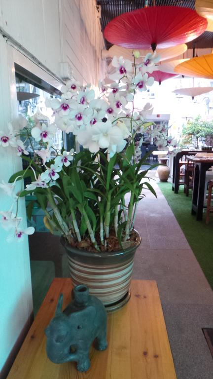 Patong Swiss Hotel Beach Front Phuket Zewnętrze zdjęcie